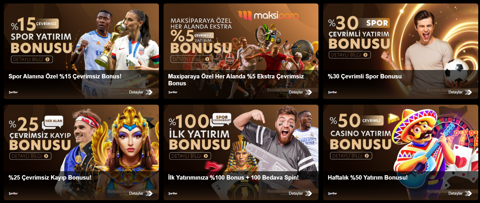 Bayşanslı Bonus Seçenekleri